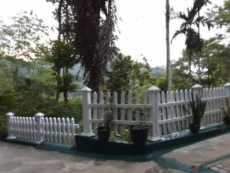 Villa25 Homestay Free Pick Up From The Centre Kandy Exterior foto