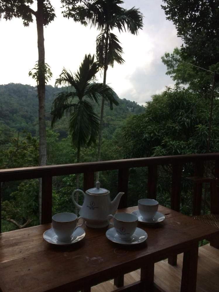 Villa25 Homestay Free Pick Up From The Centre Kandy Exterior foto